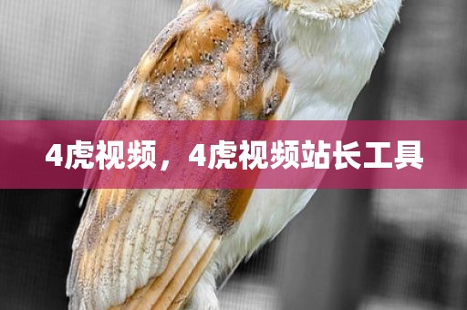 4虎视频，4虎视频站长工具