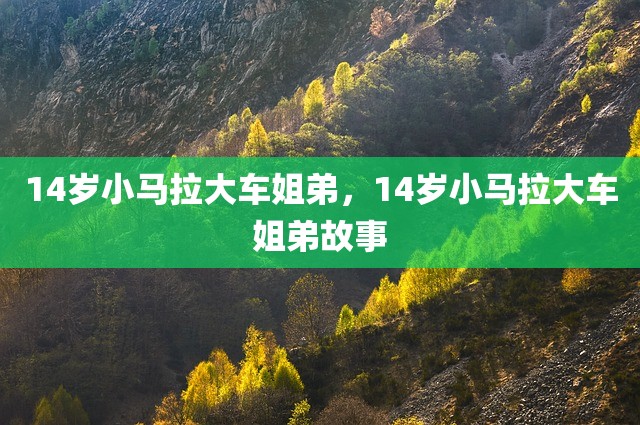 14岁小马拉大车姐弟，14岁小马拉大车姐弟故事