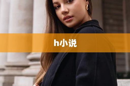 h小说