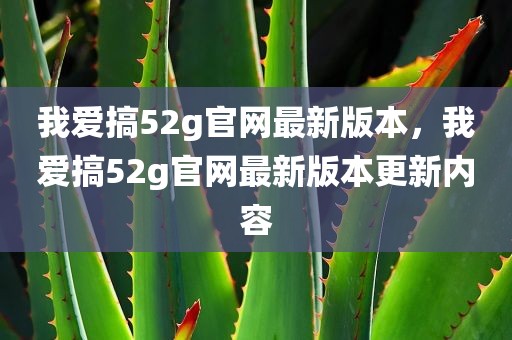我爱搞52g官网最新版本，我爱搞52g官网最新版本更新内容