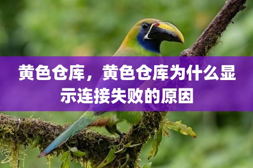 黄色仓库，黄色仓库为什么显示连接失败的原因