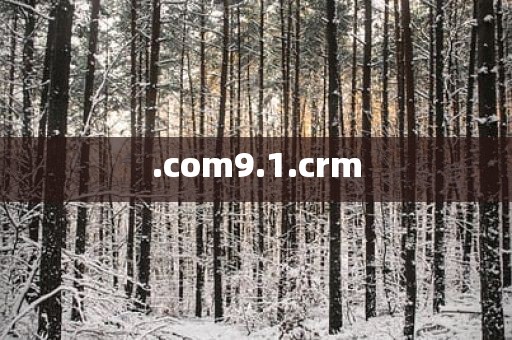 .com9.1.crm