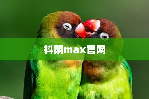 抖阴max官网