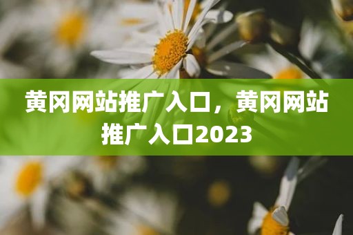 黄冈网站推广入口，黄冈网站推广入口2023
