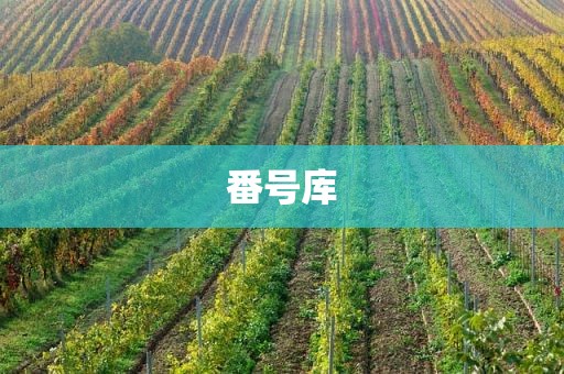 番号库