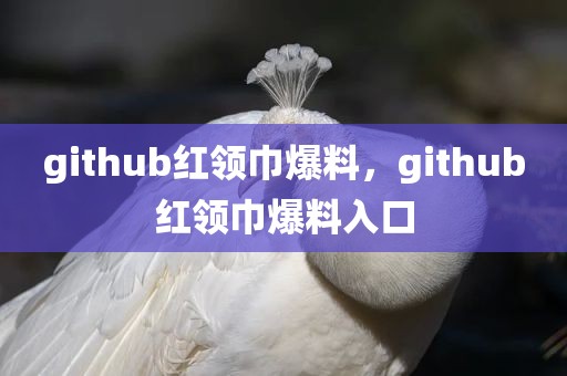 github红领巾爆料，github红领巾爆料入口
