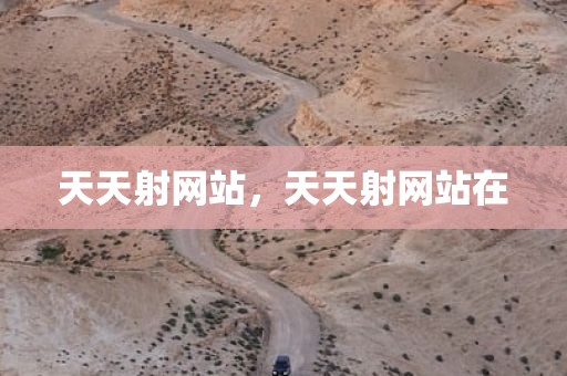 天天射网站，天天射网站在