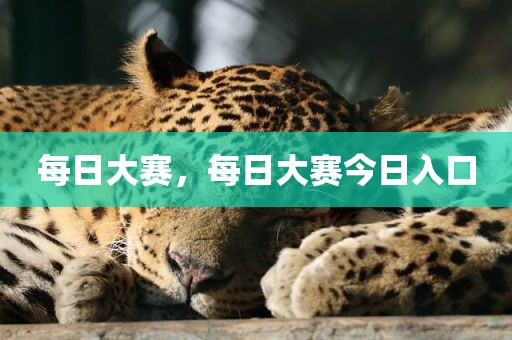 每日大赛，每日大赛今日入口