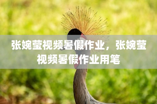 张婉莹视频暑假作业，张婉莹视频暑假作业用笔