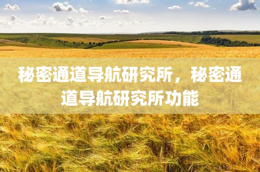 秘密通道导航研究所，秘密通道导航研究所功能