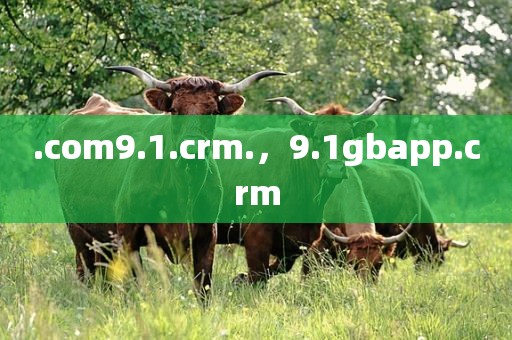 .com9.1.crm.，9.1gbapp.crm