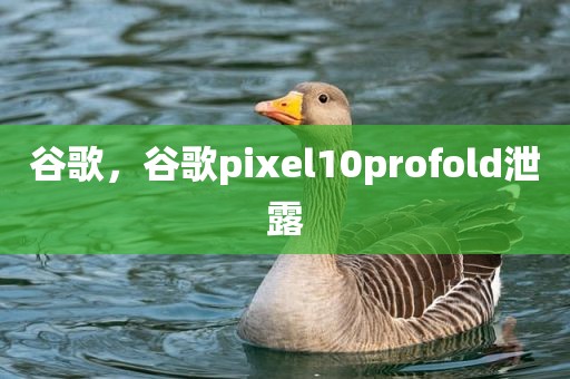 谷歌，谷歌pixel10profold泄露