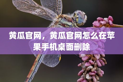 黄瓜官网，黄瓜官网怎么在苹果手机桌面删除