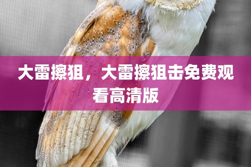 大雷擦狙，大雷擦狙击免费观看高清版