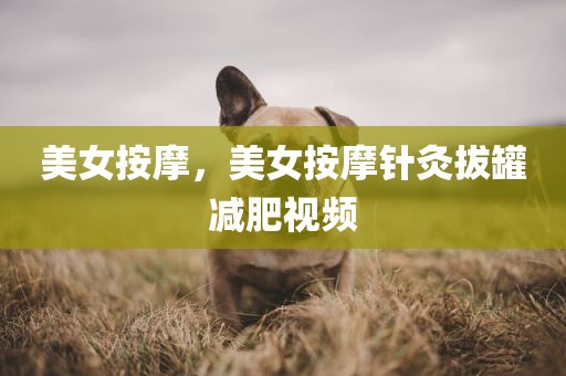 美女按摩，美女按摩针灸拔罐减肥视频