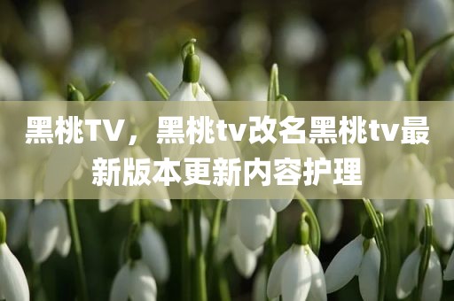黑桃TV，黑桃tv改名黑桃tv最新版本更新内容护理