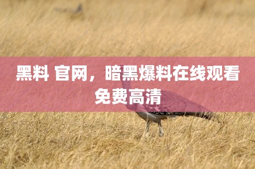 黑料 官网，暗黑爆料在线观看免费高清