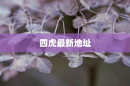 四虎最新地址