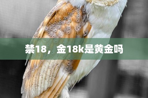 禁18，金18k是黄金吗