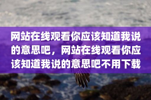 网站在线观看你应该知道我说的意思吧，网站在线观看你应该知道我说的意思吧不用下载