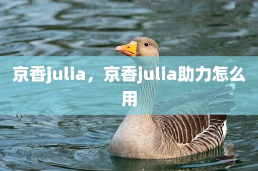 京香julia，京香julia助力怎么用