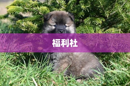 福利社