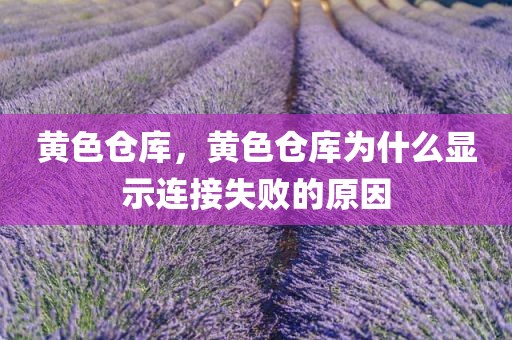 黄色仓库，黄色仓库为什么显示连接失败的原因