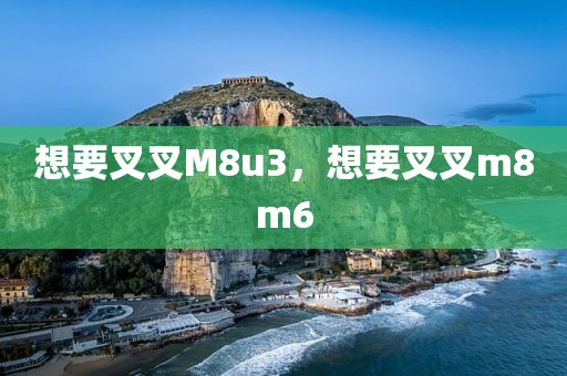想要叉叉M8u3，想要叉叉m8m6