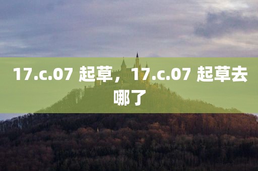 17.c.07 起草，17.c.07 起草去哪了