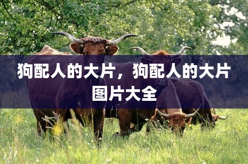 狗配人的大片，狗配人的大片图片大全