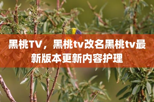 黑桃TV，黑桃tv改名黑桃tv最新版本更新内容护理