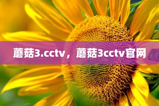 蘑菇3.cctv，蘑菇3cctv官网