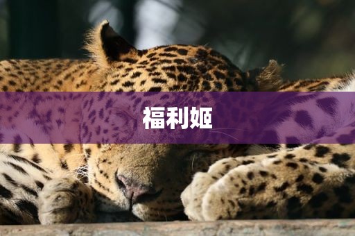 福利姬
