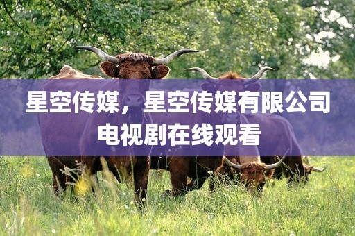 星空传媒，星空传媒有限公司电视剧在线观看