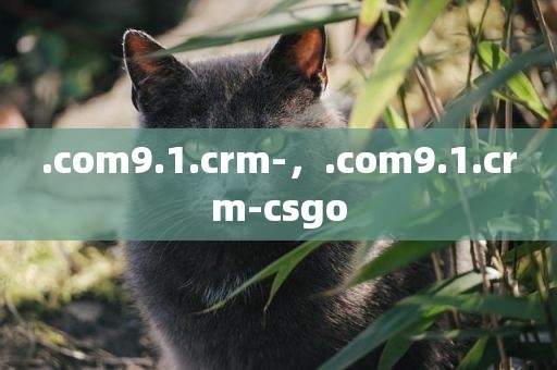 .com9.1.crm-，.com9.1.crm-csgo