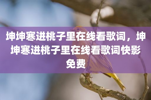 坤坤寒进桃子里在线看歌词，坤坤寒进桃子里在线看歌词快影免费