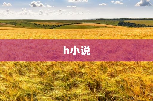 h小说