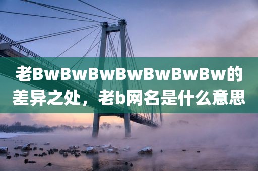 老BwBwBwBwBwBwBw的差异之处，老b网名是什么意思