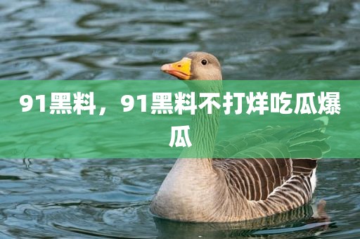 91黑料，91黑料不打烊吃瓜爆瓜
