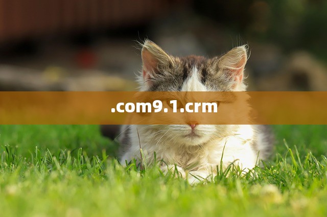 .com9.1.crm