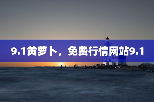 9.1黄萝卜，免费行情网站9.1