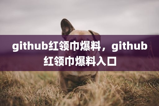 github红领巾爆料，github红领巾爆料入口