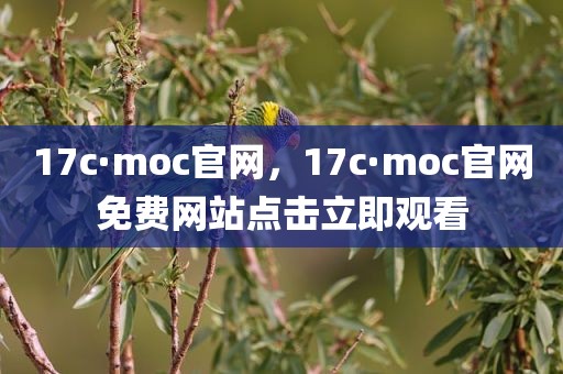 17c·moc官网，17c·moc官网免费网站点击立即观看