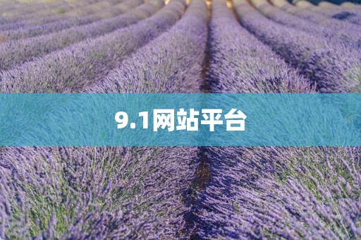 9.1网站平台