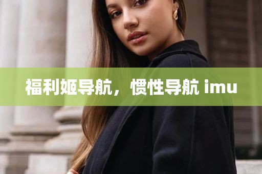 福利姬导航，惯性导航 imu