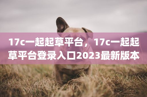 17c一起起草平台，17c一起起草平台登录入口2023最新版本