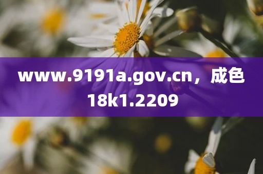 www.9191a.gov.cn，成色18k1.2209