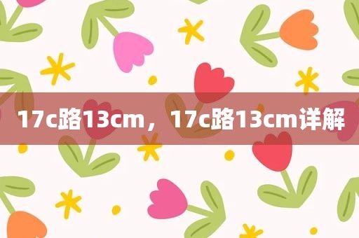 17c路13cm，17c路13cm详解