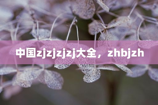 中国zjzjzjzj大全，zhbjzh