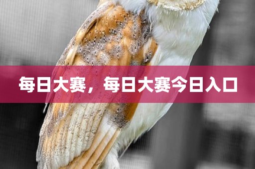 每日大赛，每日大赛今日入口